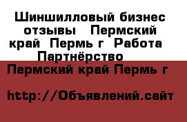 Шиншилловый бизнес отзывы - Пермский край, Пермь г. Работа » Партнёрство   . Пермский край,Пермь г.